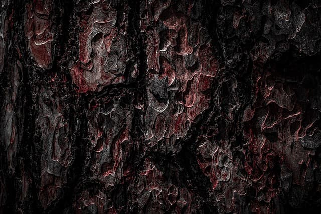 wood